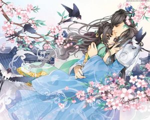 抖音91app破解版下载